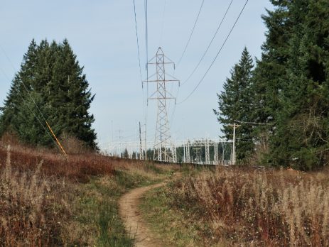 power lines in a field