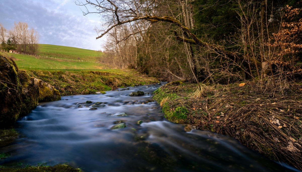 env-stew-highlight A river bisects a field and forested riparian area